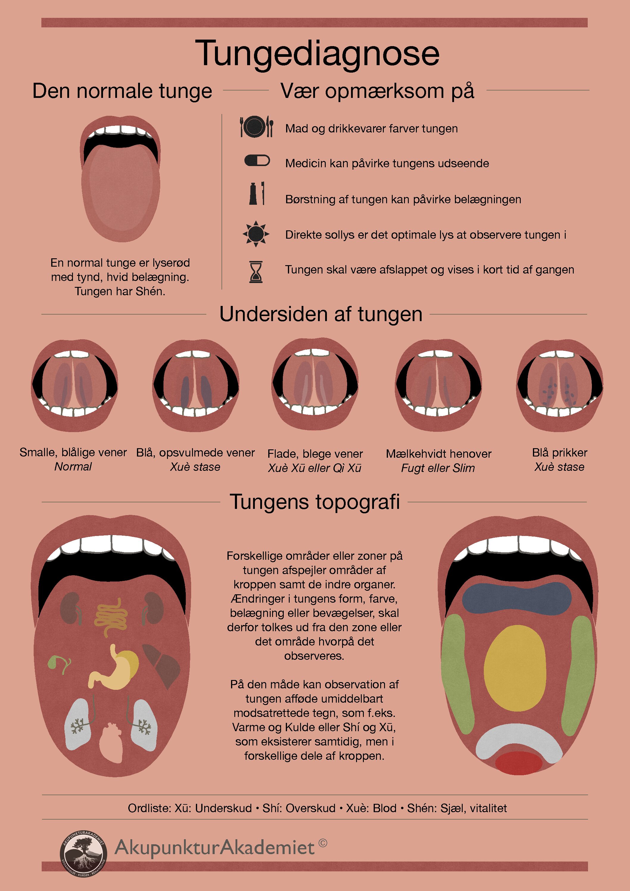 Tongue Diagnosis -